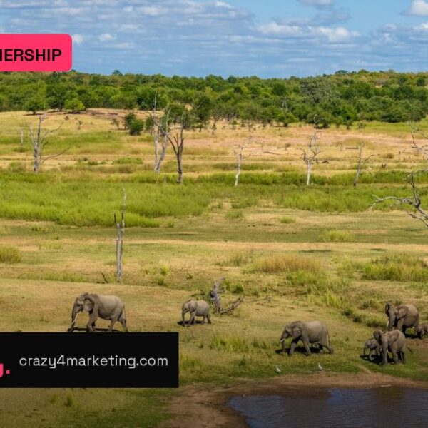 African Parks Taps VML for Digital Storytelling