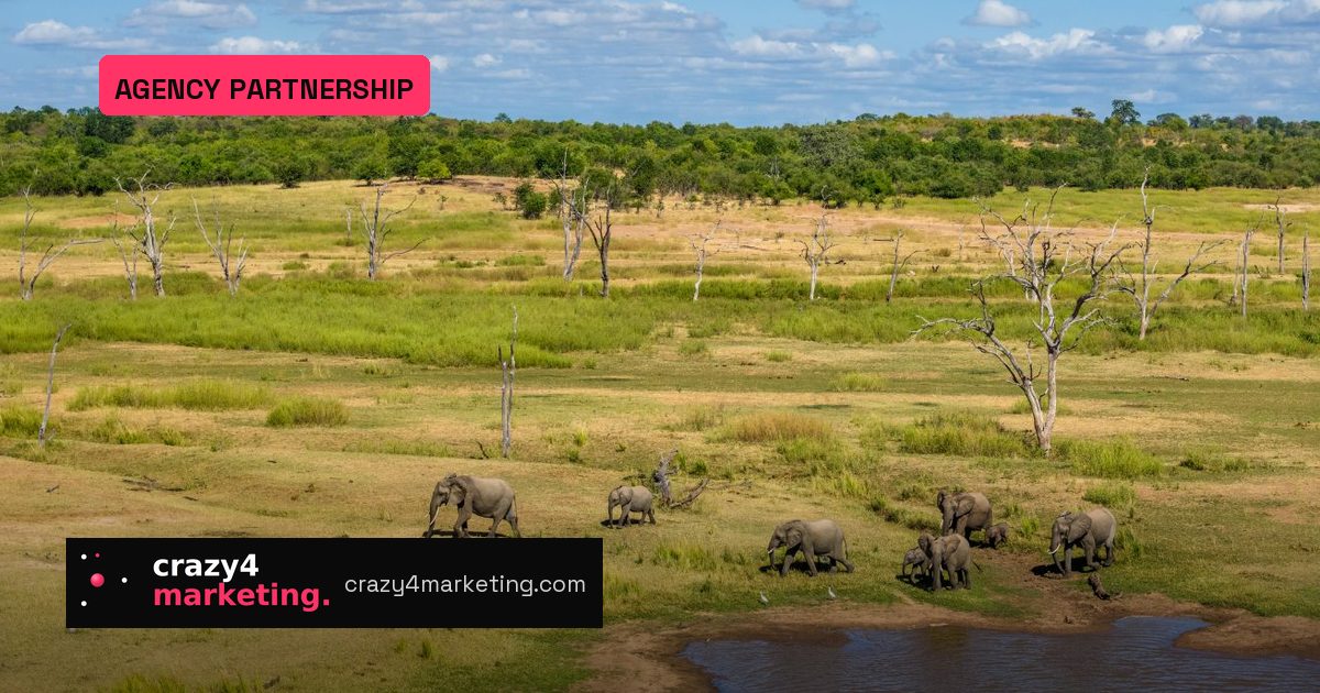 African Parks Taps VML for Digital Storytelling