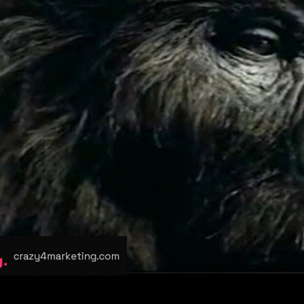 Cadbury Dairy Milk's Gorilla